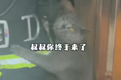 民房突发火情，消防员破门救出三只“毛孩子”