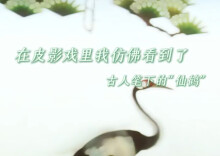 视频｜皮影戏的风还是吹到了丹顶鹤