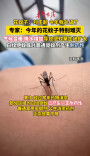 今年的“花蚊子”为何特别难灭?