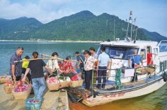湖南日报·视觉丨东江湖“水果班船”助农增收