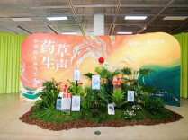 “中国植物画第一人”曾孝濂作品免费看！以艺术诠释中草药生命力量