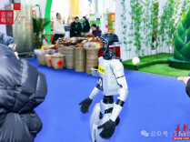 湖南旅博会怎么逛？看看这篇攻略