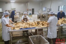【“湘”当自觉自信自强】笋香漫竹林，席织新丝路