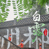 今日白露丨白露凝霜，防火莫忘