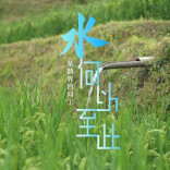 紫鹊界四问① | 水何以至此：水利专家王英华解码“一座山的自流逻辑”