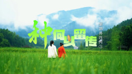 紫鹊界四问③ | 种何以留传：两场“归途”，让梯田生生不息