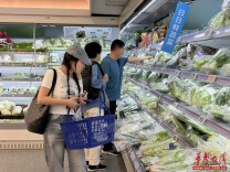 本地秋菜集中上市，本周蔬菜零售均价微跌