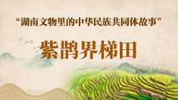 湖南文物里的中华民族共同体故事⑫ | 紫鹊界梯田