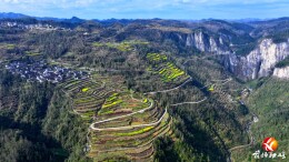 融入片区发展“一盘棋”！花垣双龙村在协同发展中焕新颜