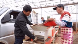 嘉禾：机械化智能化“齐上阵”，跑出春耕育秧“加速度”