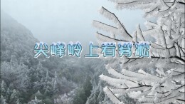 视频 | 嘉禾尖峰岭雾凇美如画