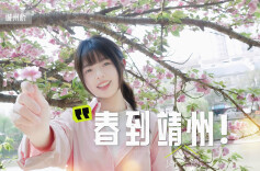 视频 | 春到靖州！