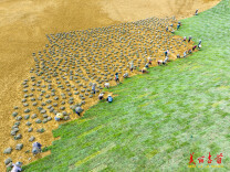 组图 | 吉首市：多块闲置土地被“激活”，变身绿意盎然的“口袋公园”