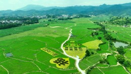 图片新闻 | 蓝山：方寸稻田绘美景 农旅融合促增收