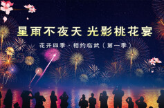 直播回放 | 郴州临武：光影桃花宴·星雨不夜天