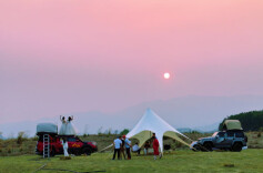 作品欣赏 | 此心安处是“桃乡”