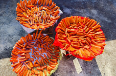 图集｜天台甜蜜情有所“薯”