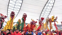 寻脉“龙源临武”：千年舞龙，何以薪火相传？