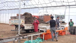 临武县：智能大棚育秧忙，科技赋能助春耕