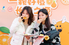 麻阳冰糖橙飘香长沙黄兴广场，品鉴活动搭建产销桥梁