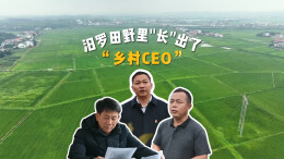让专业的人经营乡村！汨罗田野里“长”出了“乡村CEO”