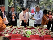 解锁端午新口味！汨罗企业推出有机粽、药食同源粽系列新品