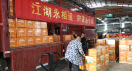因湘超赛事结下深厚情谊！宁远柑橘搭上跨省协作快车，直供江苏淮安