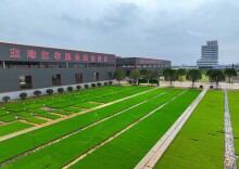 “屈原模式”出圈！院士团队+乡村CEO，这片田野生机勃勃