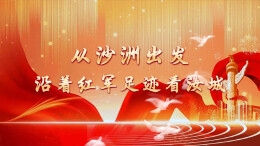 从沙洲出发•沿着红军足迹看汝城丨青石寨上的血染风采：从阻击战旧址到红色研学基地