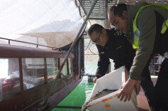 桑植开展禁捕退捕执法专项行动，维护水域生态环境和渔业资源安全