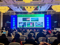 桑植“两片叶子”亮相全省品牌大会，分享老区振兴的品牌密码