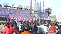 欢庆“三八”妇女节！桑植县女子球类赛事燃情启幕