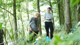 八大公山：深耕生态科考调研 匠心守护亮叶水青冈