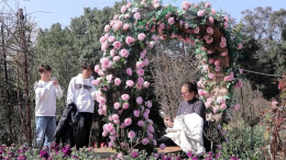 乐享假期 邵东各文旅景点“热”力全开