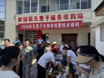 就近收购、就地变现！石门建成首家乡镇无患子收购服务站