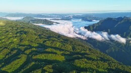视频 | 聆听《东山峰的风》，邂逅石门22℃的夏天！
