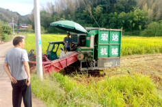 桃源县夷望溪镇：“疏堵结合”破解秸秆处理难题