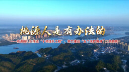 视频 | 桃源县扎实推进“十项提升工程”、努力建设“五个现代强县”工作掠影
