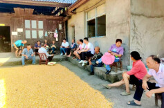 进村下地入户！桃源观音寺镇秸秆禁限烧宣传管控全覆盖