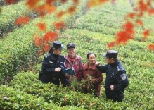 组图｜看！张家界武陵源最美“警”色