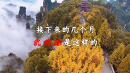 接下来的几个月，武陵源是这样的——