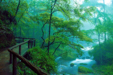 以色彩为引、漫步仙境，用ColorWalk解锁张家界武陵源的春日浪漫