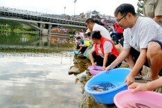 一尾尾鱼苗入河！武陵源区增殖放流90万尾鱼苗守护碧水生态