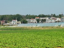 舞者，在季节的边缘起舞——湘阴县东塘镇徐记绿色蔬菜基地见闻