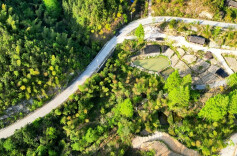 把资源优势转化为经济优势！新宁东岭林场：林下种植规模化助推林业经济蓬勃发展