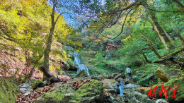 新宁紫云秘境：藏在湘西南的生态画廊