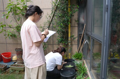 守护居民安康！永兴常态化开展蚊媒密度专项监测 