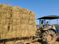 秸秆变“金”，稻田生“机”！永兴高亭司镇秸秆综合利用绘就生态农业新图景