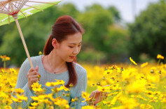 组图｜湘潭九华小西湖：来金色花海赴一场初夏之约