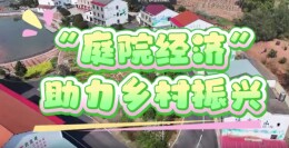 视频 | 衡阳蒸湘区：“庭院经济”助力乡村振兴